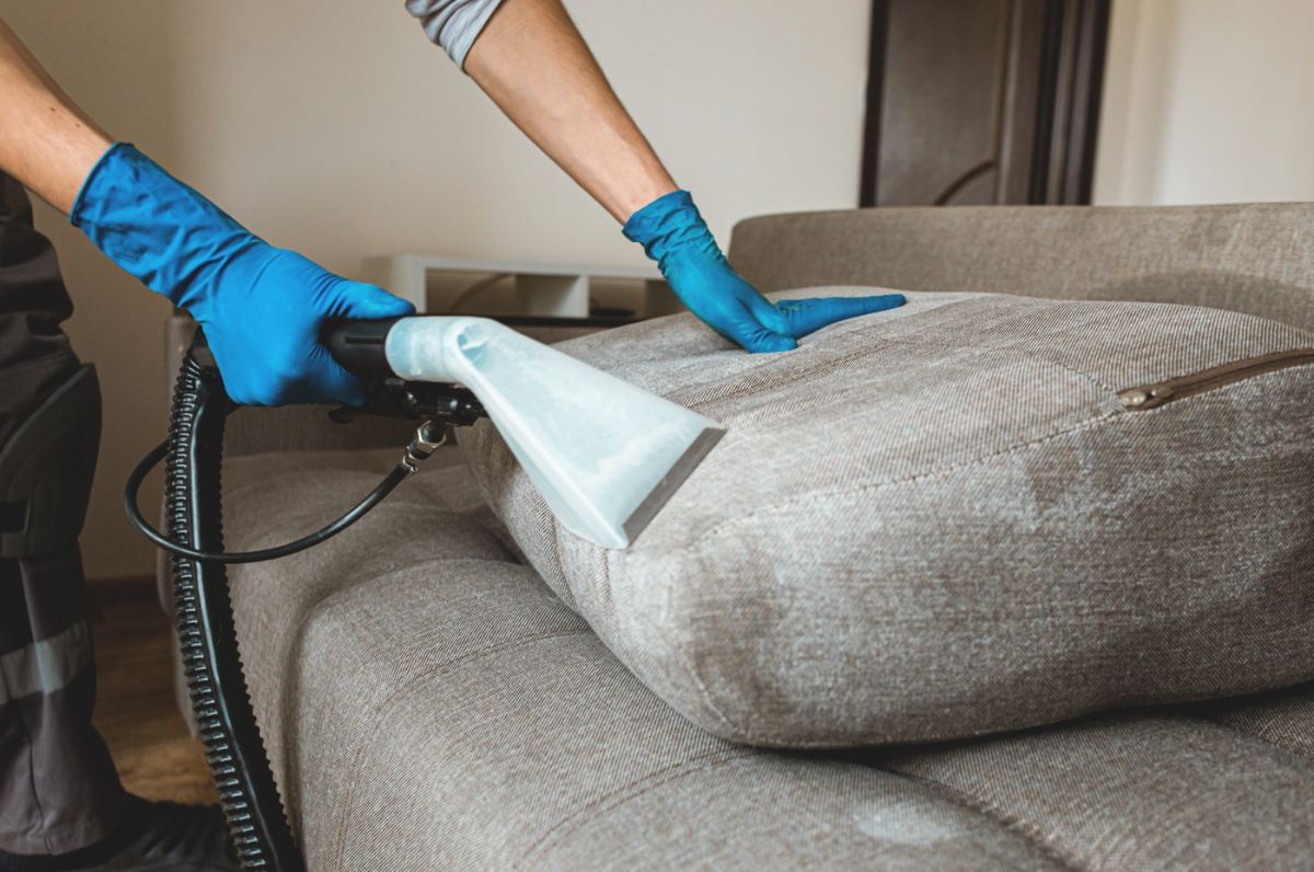 Professional upholstery extraction cleaning of a sofa cushion